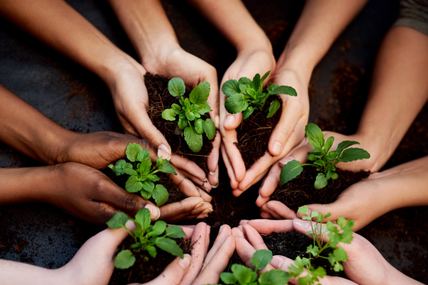 کارآفرینان باهوش دیگر نه یک کسب‌وکار، بلکه اکوسیستم می سازند