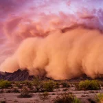 تاب‌ آوری: تنها راه نجات کسب‌وکارها در دنیای پرتلاطم امروز