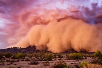 تاب‌ آوری: تنها راه نجات کسب‌وکارها در دنیای پرتلاطم امروز