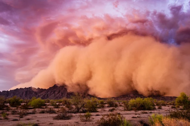 تاب‌ آوری: تنها راه نجات کسب‌وکارها در دنیای پرتلاطم امروز